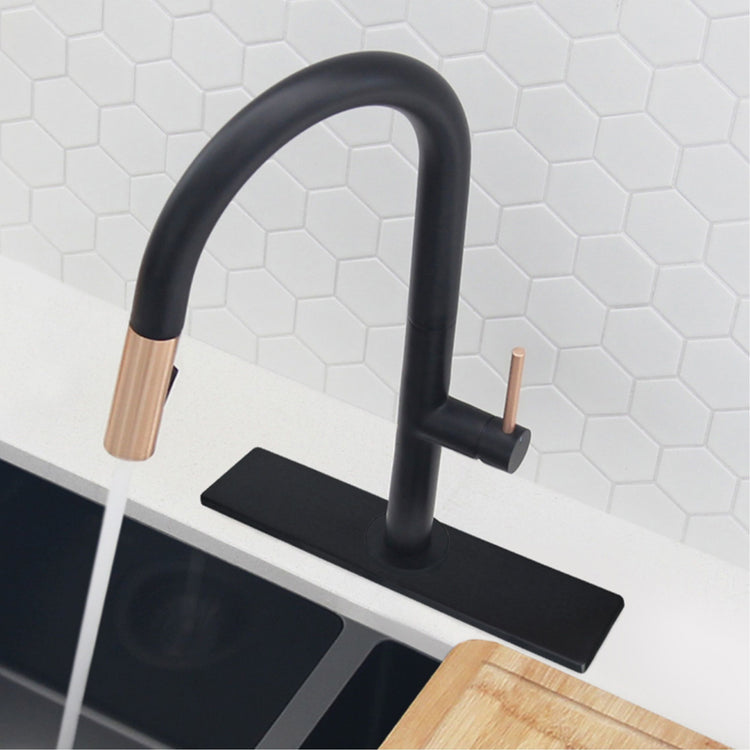 Stylish - Single Hole Kitchen Faucet Plate in Matte Black