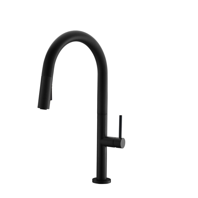 Stylish - Single Handle Pull Down Sprayer Kitchen Faucet in Matte Black Finish