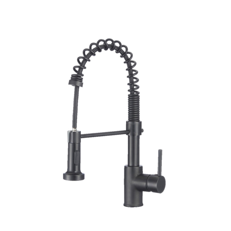 Stylish - Single-Handle Pull-Down Sprayer Kitchen Faucet with Spring Design in Matte Black